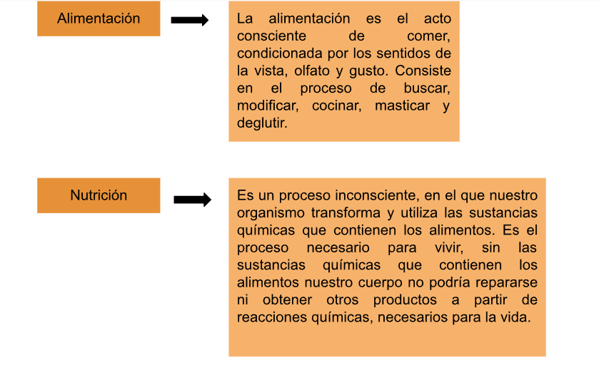 Alimentación y nutrición