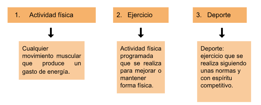 Actividad física, ejercicio, deporte